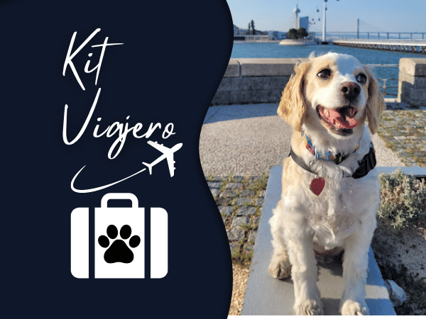 viajar con mascotas